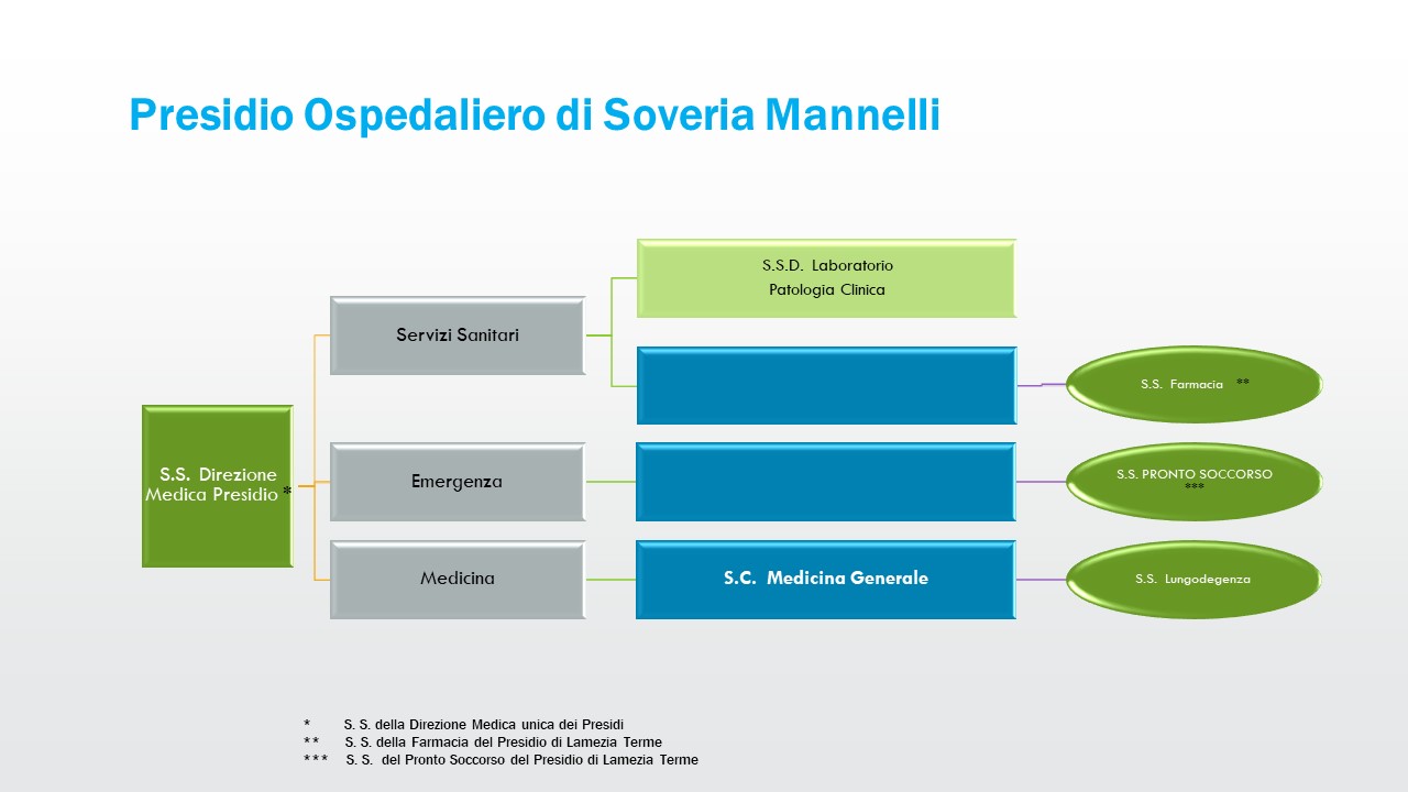 organigramma