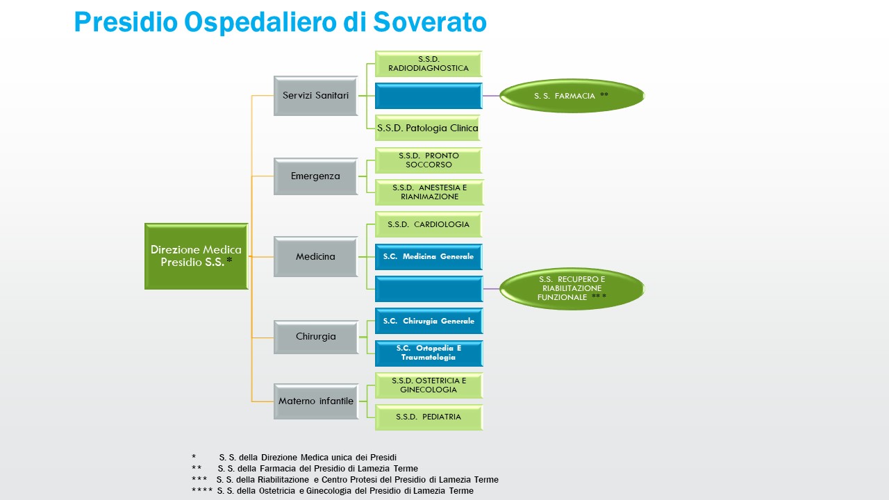 organigramma