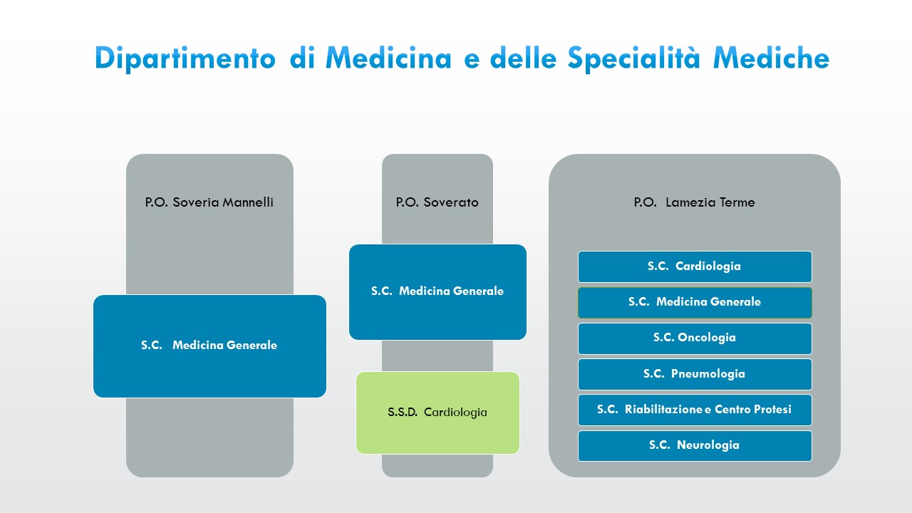 organigramma