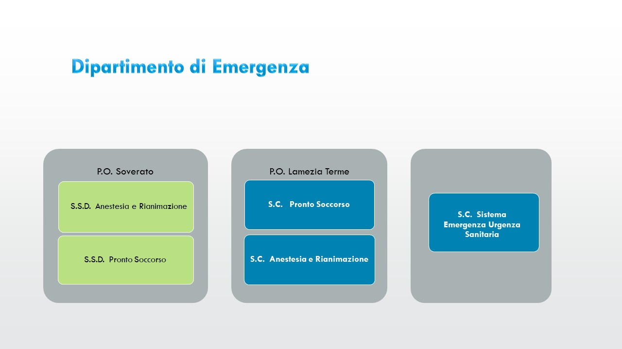 organigramma